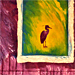 Untitled (Egrets)